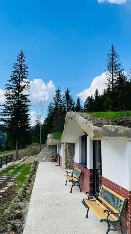 Resort Valea Tatarilor Lacu Rosu Ngoại thất bức ảnh
